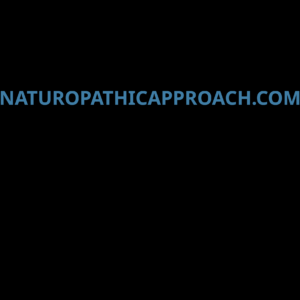 naturopathicapproach.com